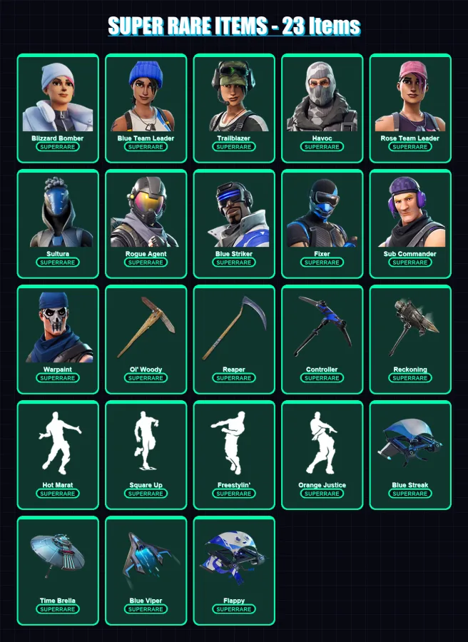 [PS4/PS5/PC] | Blizzard Bomber | Blue Team Leader | Trailblazer | Havoc | Rose Team Leader | 176 skin | 239 pickaxe | 180 emote | 196 glider | Lv320