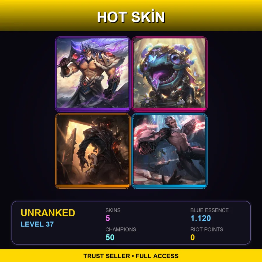 VN | Lv37 | Unranked | 5 Skin | 50 Champ — LoL account