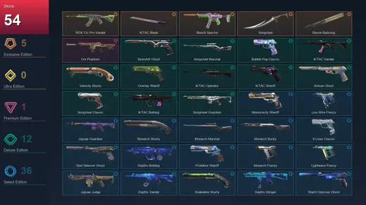 AP | RGX 11z Pro Vandal | K/TAC Blade | BlastX Spectre | Songsteel | 54 Skin | 27 Agent | 129 Buddy | Lv379