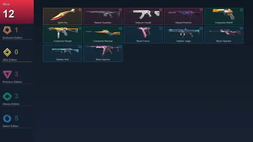 NA | Ignite Fan | Reaver Guardian | Neptune Vandal | Nebula Phantom | 12 Skin | 17 Agent | 12 Buddy | Lv30