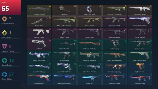 EU | Obsidiana | Iridian Thorn Blade | RGX 11z Pro Guardian | Spectrum Phantom | 55 Skin | 27 Agent | 44 Buddy | Lv83