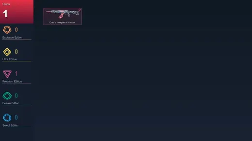 EU | Gaia's Vengeance Vandal | 1 Skin | 23 Agent | 21 Buddy | Lv56