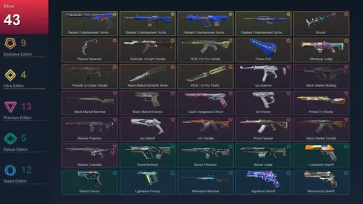EU | Bound | Reaver Karambit | Sentinels of Light Vandal | RGX 11z Pro Vandal | 43 Skin | 21 Agent | 58 Buddy | Lv105 — Valorant account
