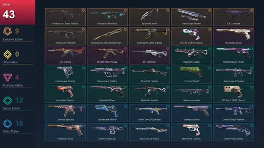 AP | Prelude to Chaos Vandal | Ruination Phantom | Byteshift Knife | Hieroscape Blades | 43 Skin | 28 Agent | 60 Buddy | Lv169 — Valorant account