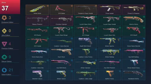 EU | Striker Knife | .SYS Melee | Prelude to Chaos Vandal | Prime Vandal | 37 Skin | 24 Agent | 59 Buddy | Lv123
