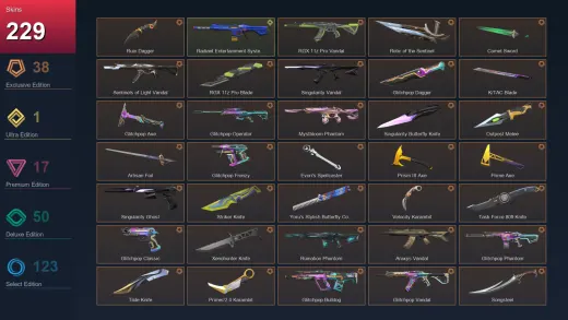 AP | Ruin Dagger | RGX 11z Pro Vandal | Relic of the Sentinel | Comet Sword | 229 Skin | 27 Agent | 212 Buddy | Lv414