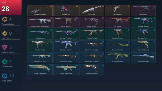 EU | Blackthorn Blades | Montage Axe | Luxe Knife | Ion Karambit | 28 Skin | 13 Agent | 18 Buddy | Lv37