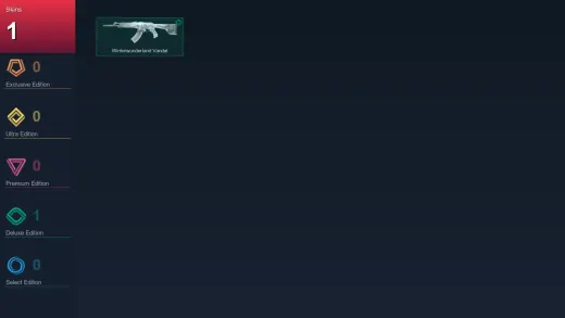 NA | Winterwunderland Vandal | 1 Skin | 11 Agent | 14 Buddy | Lv42