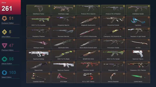 NA | RGX 11z Pro Guardian | Singularity Spectre | Magepunk Sparkswitch | ChronoVoid Vandal | 261 Skin | 25 Agent | 166 Buddy | Lv283