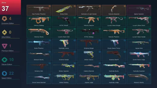 EU | Neo Frontier Phantom | Striker Knife | Sentinels of Light Vandal | Velocity Karambit | 37 Skin | 21 Agent | 51 Buddy | Lv79 — Valorant account