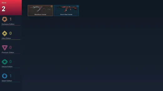 EU | Blackthorn Vandal | Storm Maw Vandal | 2 Skin | 10 Agent | 4 Buddy | Iron I | Lv24 — Valorant account