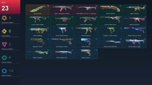 EU | Striker Knife | Gaia's Vengeance Vandal | VALORANT GO! Vol. 1 Guardian | Velocity Shorty | 23 Skin | 20 Agent | 38 Buddy | Lv96 — Valorant account