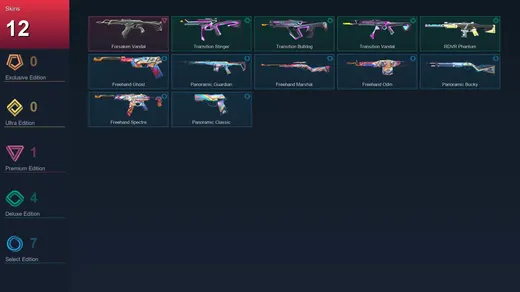 AP | Forsaken Vandal | Transition Stinger | Transition Bulldog | Transition Vandal | 12 Skin | 11 Agent | 16 Buddy | Lv32 — Valorant account
