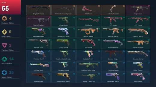AP | Singularity Vandal | Prelude to Chaos Operator | .SYS Melee | Velocity Karambit | 55 Skin | 28 Agent | 135 Buddy | Lv347 — Valorant account