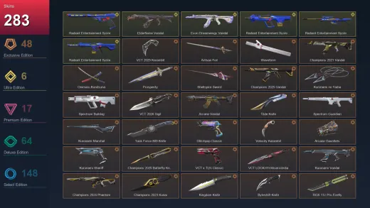 AP | VCT 2025 Karambit | Artisan Foil | Waveform | Champions 2021 Vandal | 283 Skin | 29 Agent | 283 Buddy | Lv318