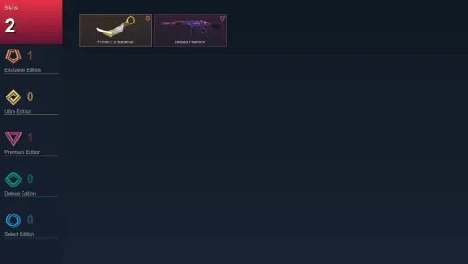 EU | Prime//2.0 Karambit | Nebula Phantom | 2 Skin | 7 Agent | 5 Buddy | Lv14